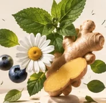 Botanicals