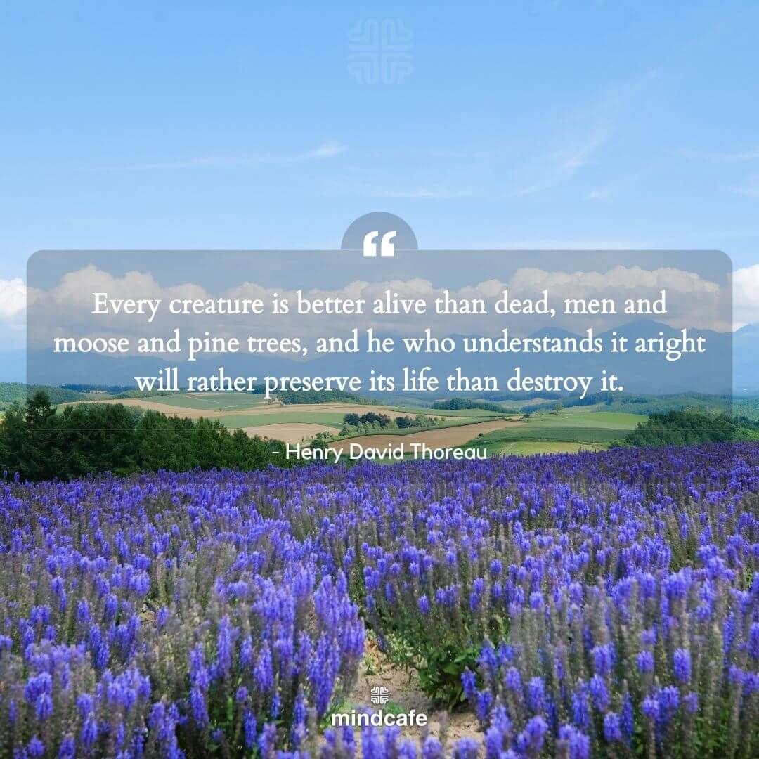 Mental health quotes